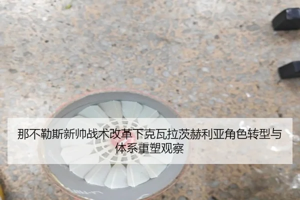 那不勒斯新帅战术改革下克瓦拉茨赫利亚角色转型与体系重塑观察